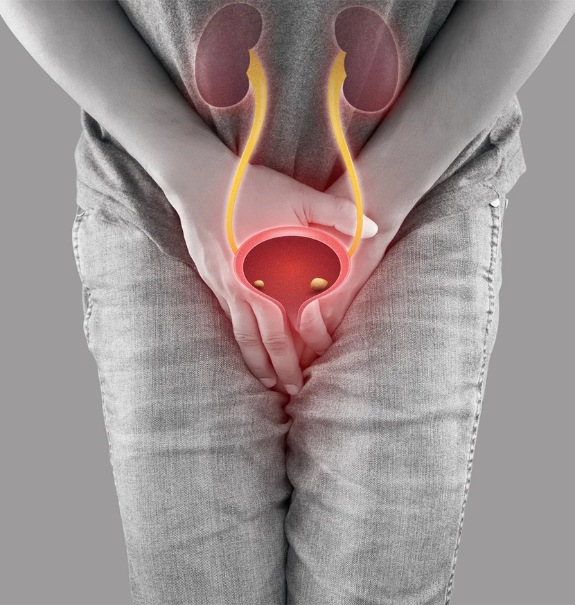 Prostatic, Urinary Bladder, and Kidney Cancer